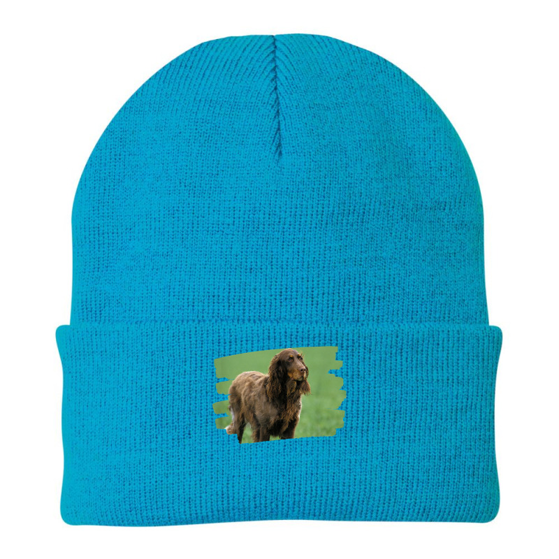 Picardy Spaniel Dog Lover T Shirt Beanie by hankeajrippleex5 | Artistshot