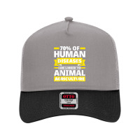 Diseases Linked To Animal Agriculture Vegan Facts T Shirt Mesh Back Trucker Hat | Artistshot