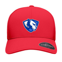 The Eastern Illinois Panthers Seamless Cap | Artistshot