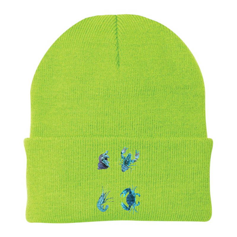 Aqua Colored Crustacean Beanie | Artistshot