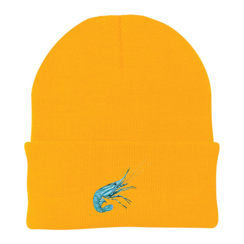 Aqua Colored Prawn Beanie | Artistshot