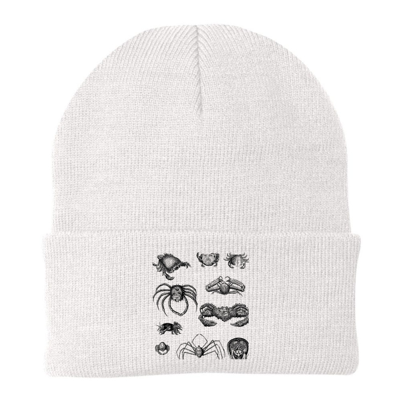 Crustaceancore For Ocean And Animal Lovers Sea Life Beanie | Artistshot