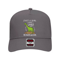 Just A Girl Who Loves Dinosaurs Brachiosaurus Paleontologist Mesh Back Trucker Hat | Artistshot