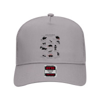 Skunks Of The World Species Of Mephitidae Mesh Back Trucker Hat | Artistshot