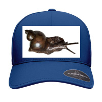 Snail Art Seamless Cap | Artistshot