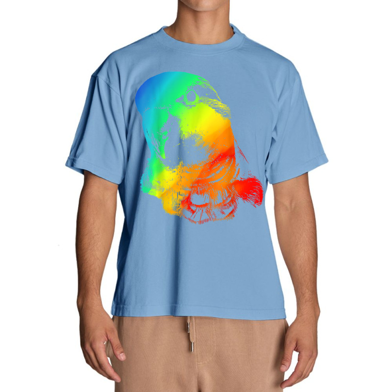 Quaker Parrot Colorful Rainbow Retro Urban Heavy T-shirt | Artistshot