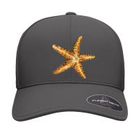 Starfish Seamless Cap | Artistshot