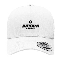 The-biquini-cavadao-roda-gigante-cool Yupoong Trucker Cap | Artistshot