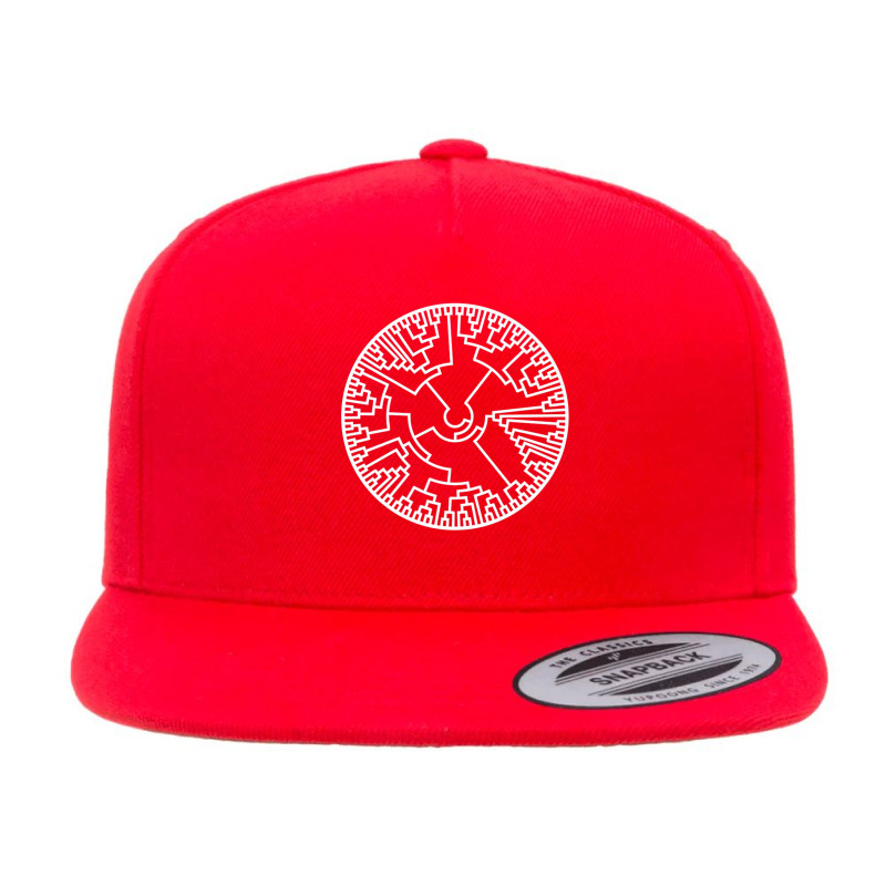 Biologist Phylogenetic Tree Evolution Teacher Biology Premium T Shirt 5 panel snapback cap by MleczynskiShae | Artistshot