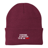 Everyone Is Entitled To Be An Idiot Funny (1) Beanie | Artistshot