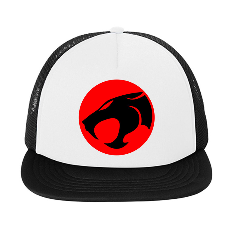 #thundercat Foam Snapback hat by andrean7122 | Artistshot