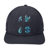 Aqua Colored Crustacean Snapback Trucker Cap | Artistshot