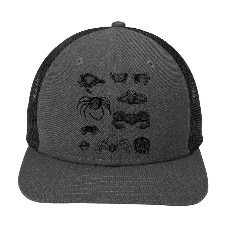 Crustaceancore For Ocean And Animal Lovers Sea Life Snapback Trucker Cap | Artistshot