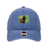 Picardy Spaniel Dog Lover T Shirt Dyed Cap | Artistshot