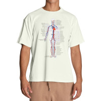 Circulatory System Anatomy Chart Arteries Veins Urban Heavy T-shirt | Artistshot