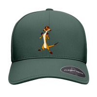 Timon Funny Seamless Cap | Artistshot