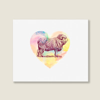 Merino Ram Landscape Canvas Print | Artistshot