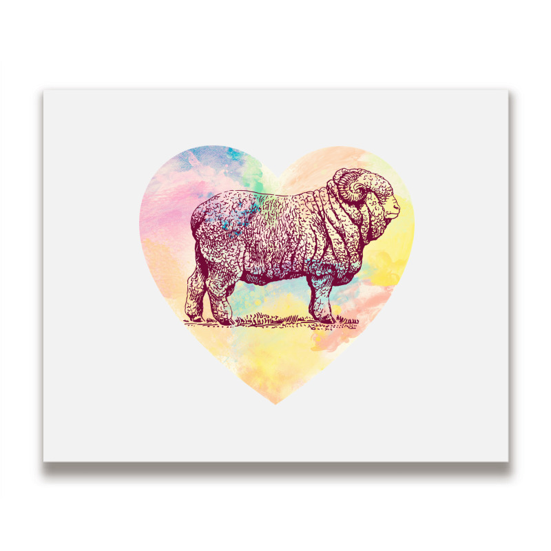 Merino Ram Metal Print Horizontal | Artistshot