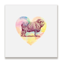 Merino Ram Metal Print Square | Artistshot