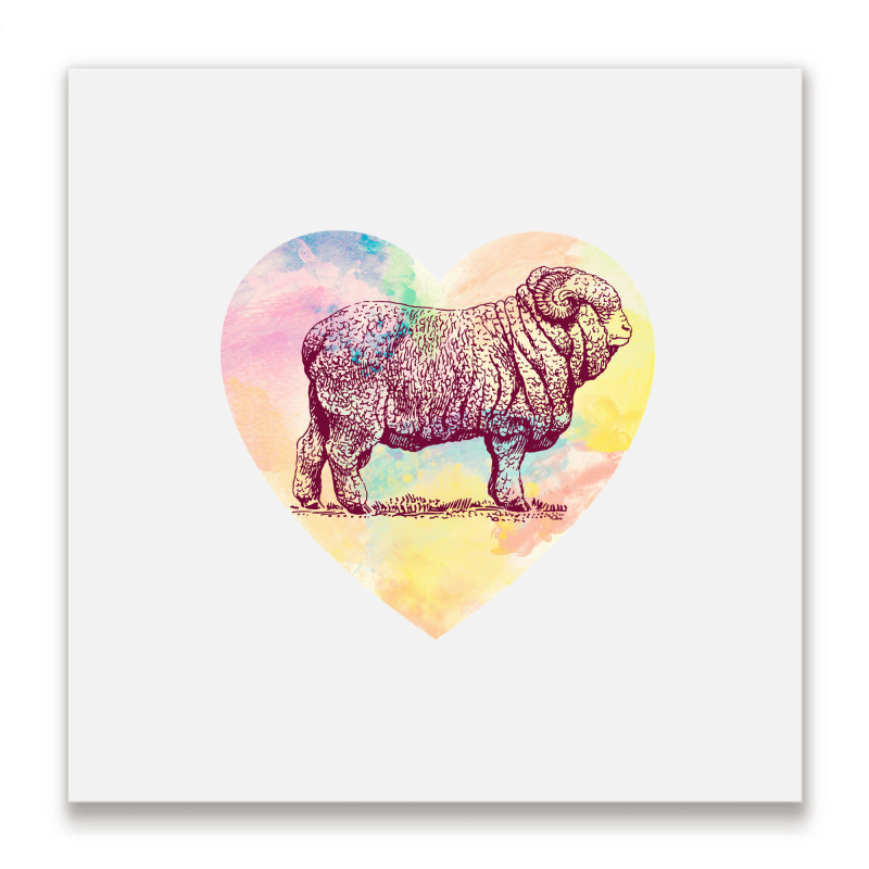 Merino Ram Metal Print Square | Artistshot