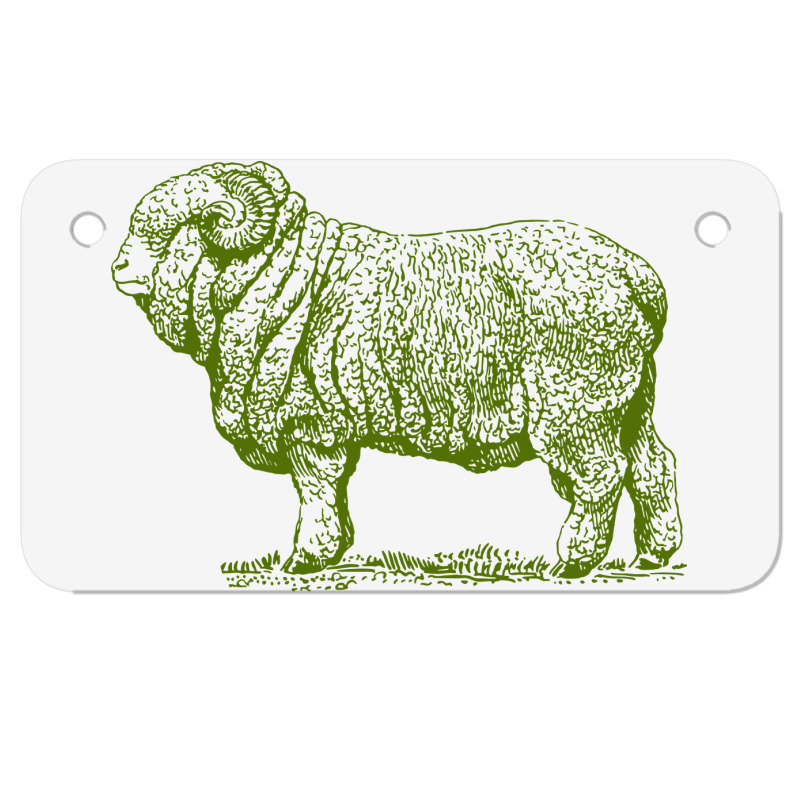 Merino Ram Motorcycle License Plate | Artistshot