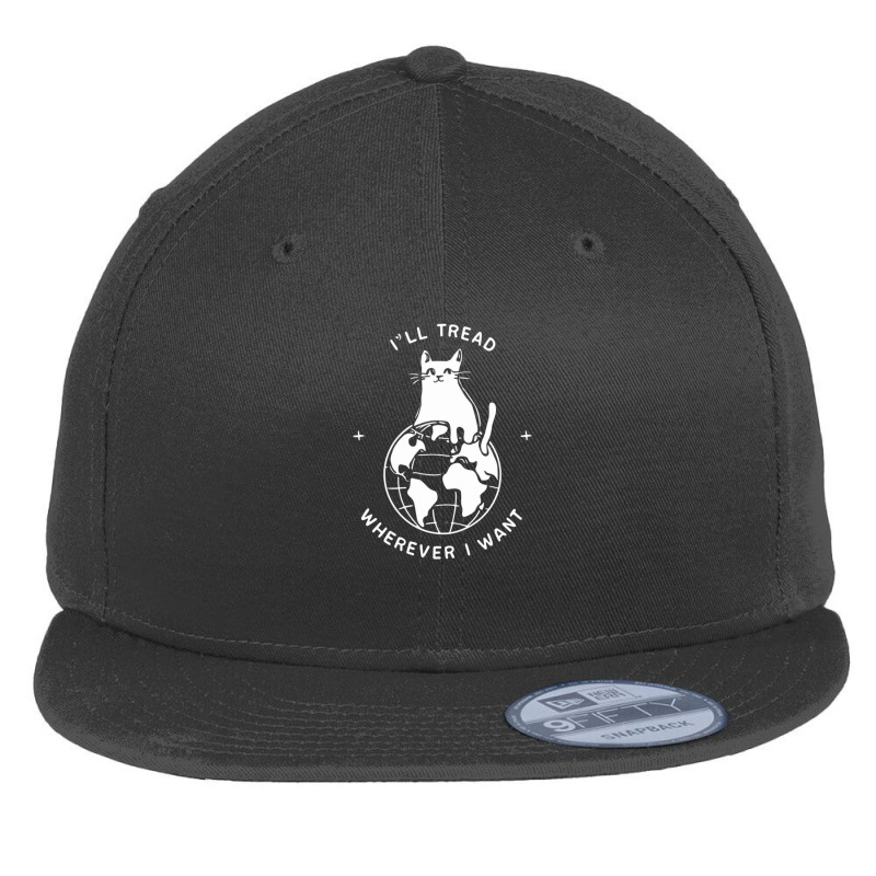 A Cat Sitting On Top Of A Globe Flat Bill Snapback Cap by Kenneth | Artistshot