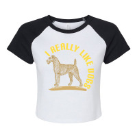 Vintage Irish Terrier Dog Raglan Crop Top | Artistshot