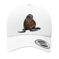 Sea Lion Illustrations Yupoong Trucker Cap | Artistshot