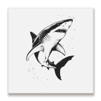 A Shark Metal Print Square | Artistshot