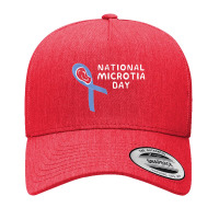 Microtia National Awareness Day Ribbon And Ear 2019 Yupoong Trucker Cap | Artistshot