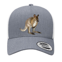 Hand Drawn Wallaby Animal Yupoong Trucker Cap | Artistshot