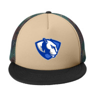 The Eastern Illinois Panthers Foam Snapback Hat | Artistshot