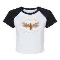 Vintage Termite Raglan Crop Top | Artistshot