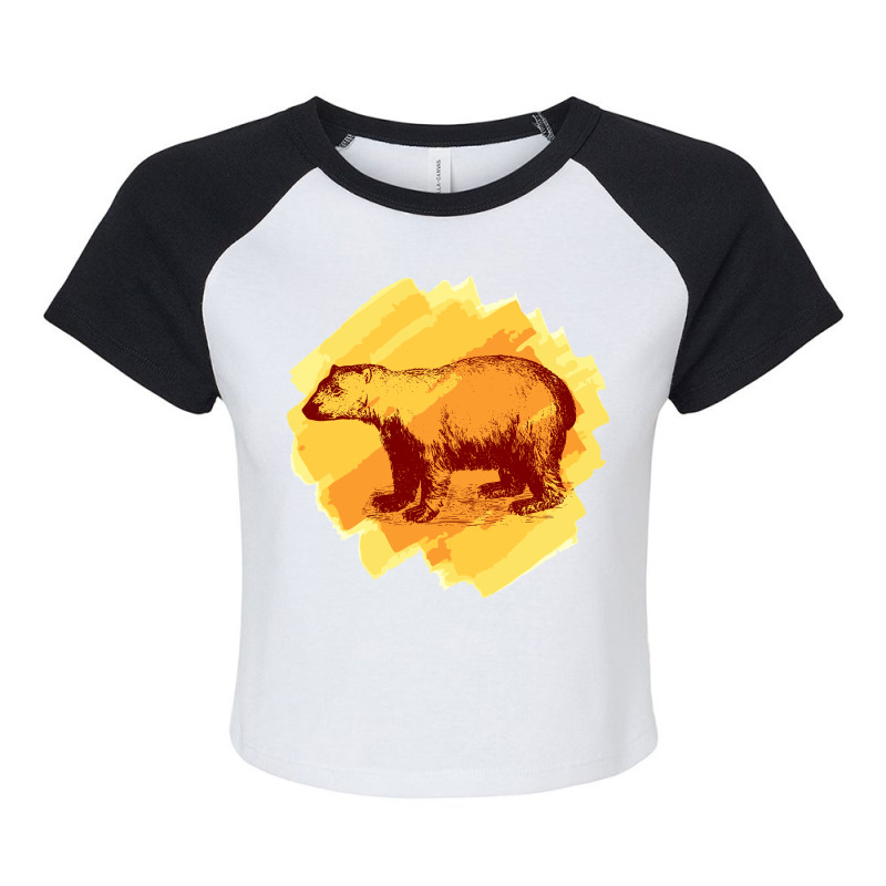 Vintage Polar Bear Raglan Crop Top by HRC Design | Artistshot