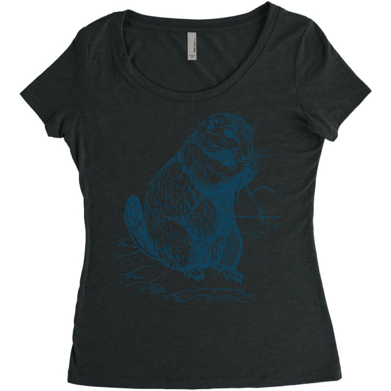 Vintage Prairie Dog Women's Triblend Scoop T-shirt by HRC Design | Artistshot