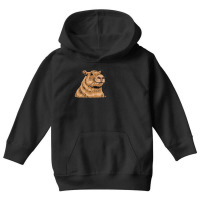 Capybara Saying To You Youth Hoodie | Artistshot