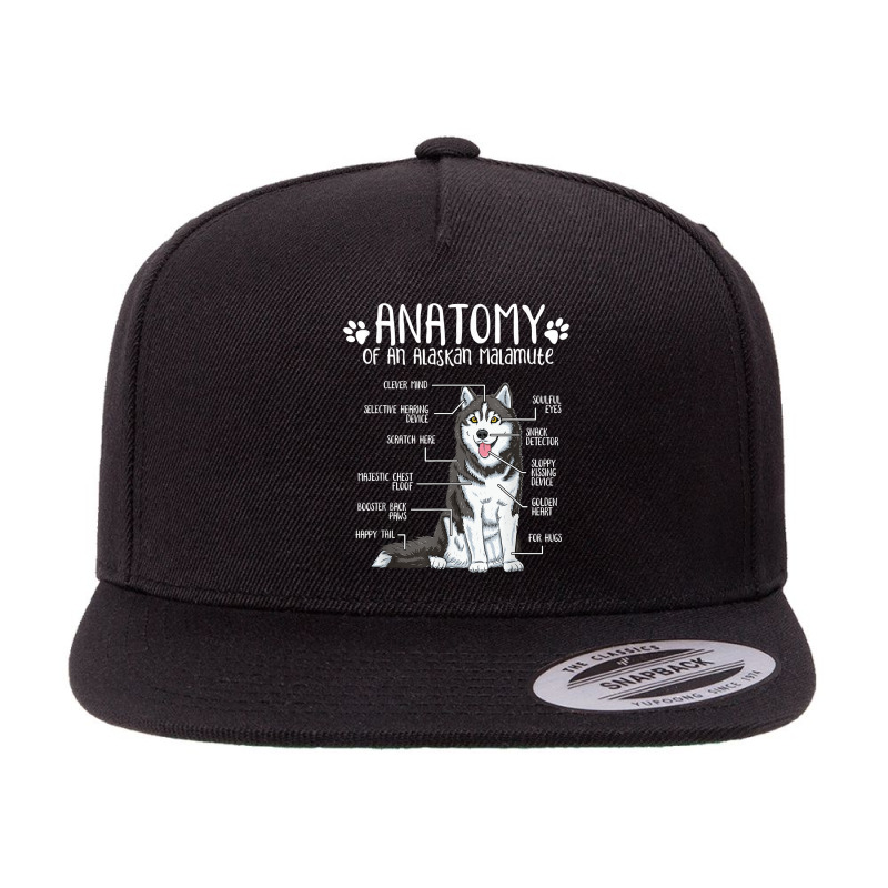 Funny Anatomy Alaskan Malamute Dog Lover T Shirt 5 Panel Snapback Cap | Artistshot