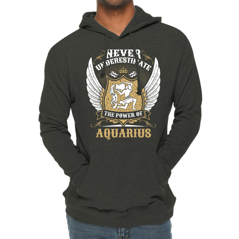 Never Underestimate The Power Of Aquarius Lightweight Hoodie | Artistshot