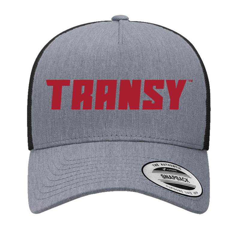 Transylvania University Pioneers Yupoong Trucker Cap by almeroalvin | Artistshot