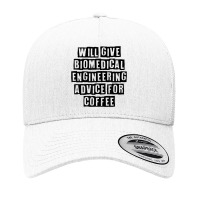 Simple Minimal Funny Will Give Biomedical Engineering Advice T Shirt Yupoong Trucker Cap | Artistshot