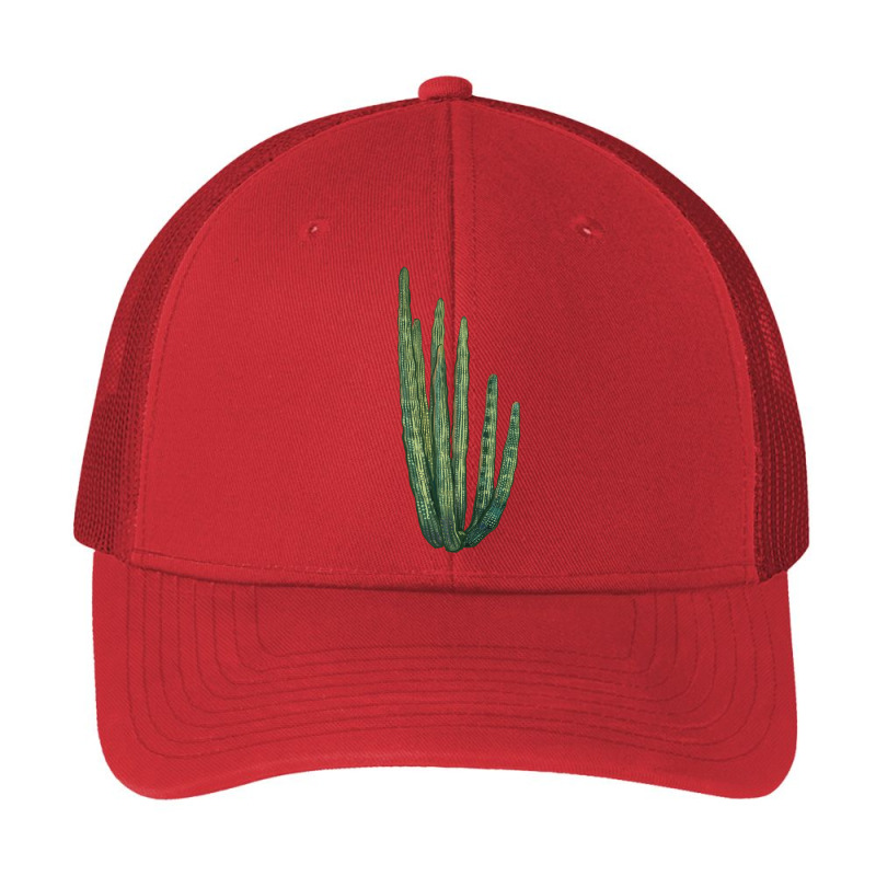 Organ Pipe Cactus Pa Trucker Cap by LillyAllenDesigns | Artistshot