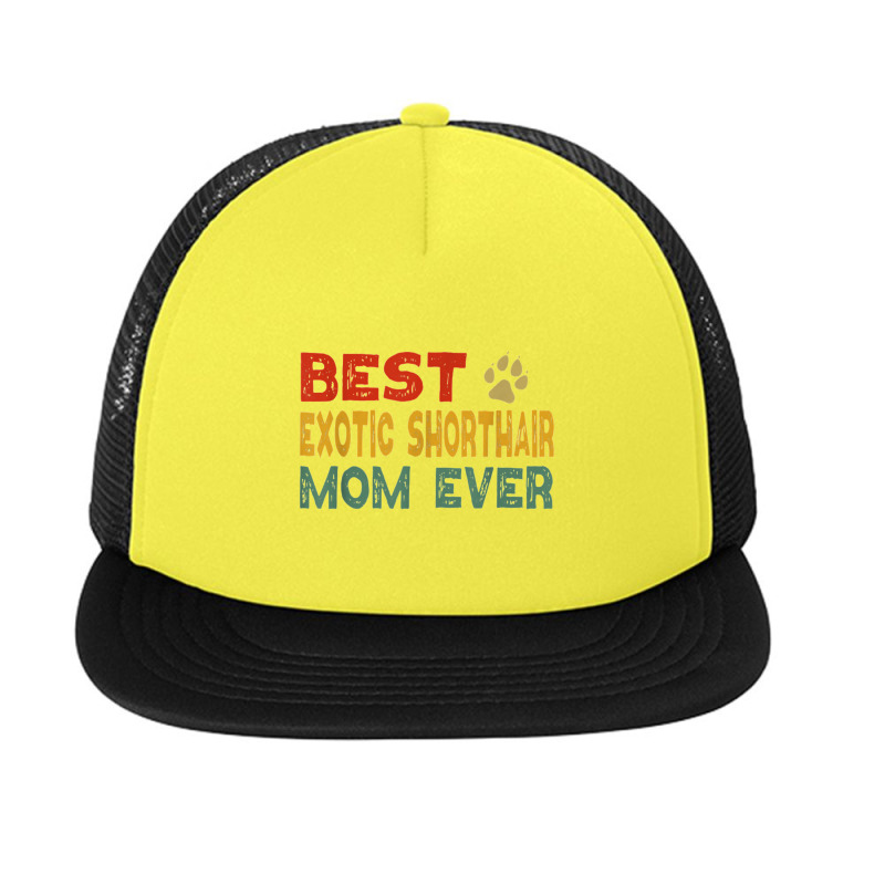 Exotic Shorthair Cat Mom Owner Breeder Lover Kitten Foam Snapback hat by daniellepaine | Artistshot