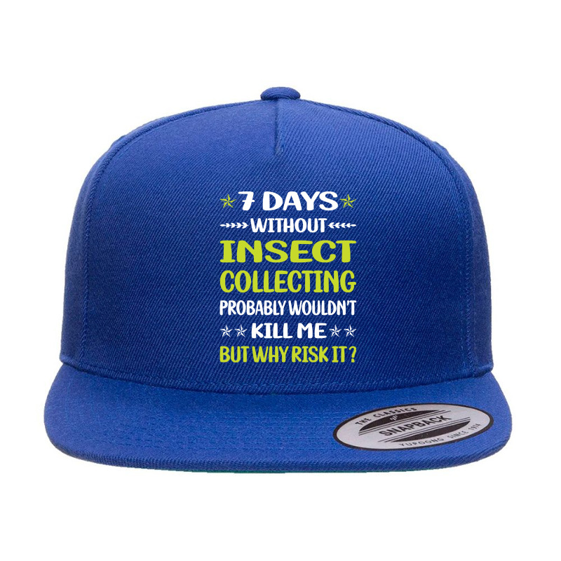 Insect Collecting T  Shirt Funny 7 Days Without Insect Collecting T  S 5 panel snapback cap by awfulelectronic | Artistshot