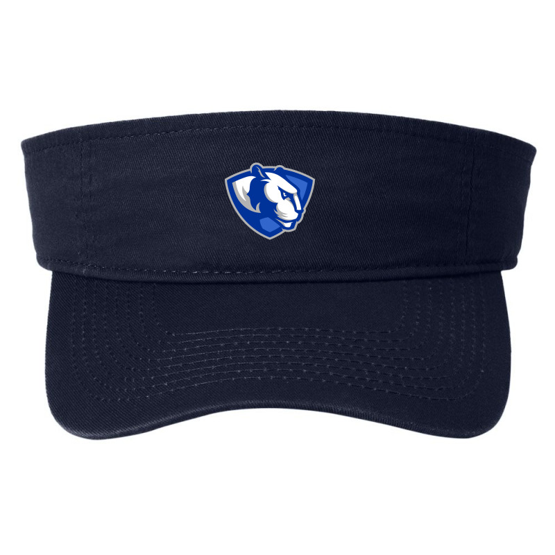 The Eastern Illinois Panthers Fashion Visor by immanuel denatn | Artistshot