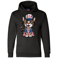 A Cat With Usa Flag Champion Hoodie | Artistshot