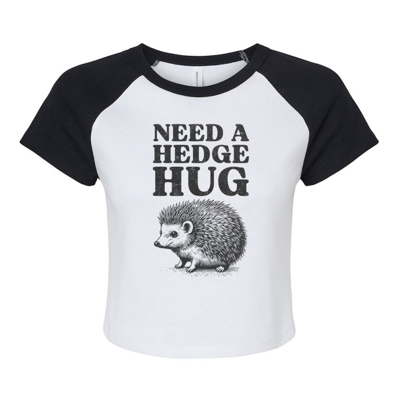 Cute Hedgehog Hug For Animal Pun Introverts Lover Raglan Crop Top by Sandy | Artistshot