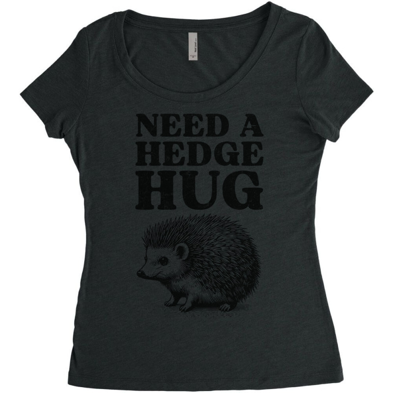 Cute Hedgehog Hug For Animal Pun Introverts Lover Women's Triblend Scoop T-shirt by Sandy | Artistshot