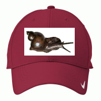 Snail Art Nike Dri-fit Cap | Artistshot