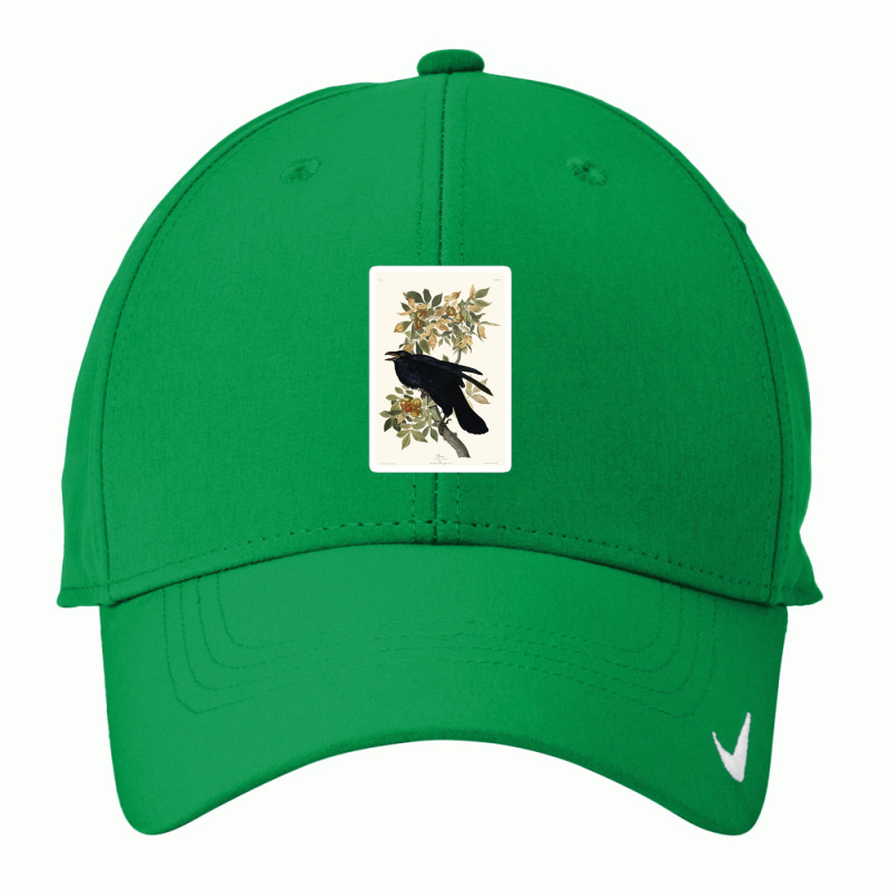 Adolphe Millot Oiseaux B Vintage French Zoology Illustration 1921 5751 Nike Dri-FIT Cap by wahidd22 | Artistshot