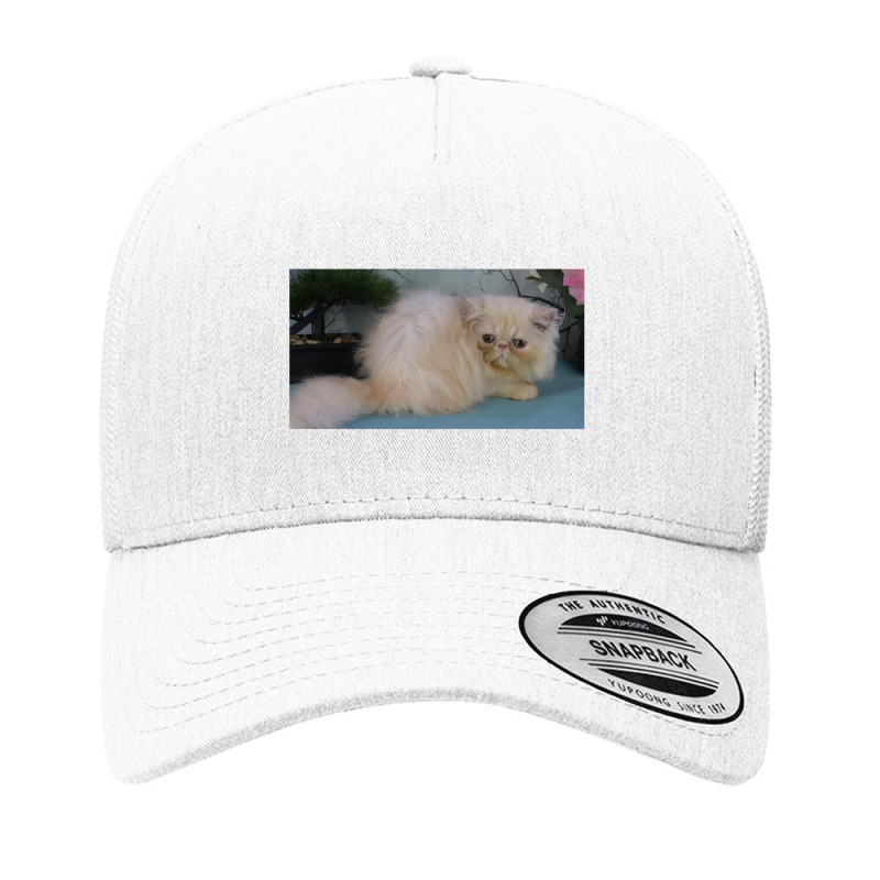 Cream Smoke Persian Yupoong Trucker Cap | Artistshot